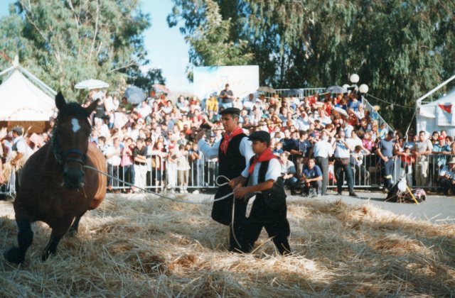 Raddusa. Da venerdì 12 a domenica 14 settembre si svolge la 29esima Festa del Grano